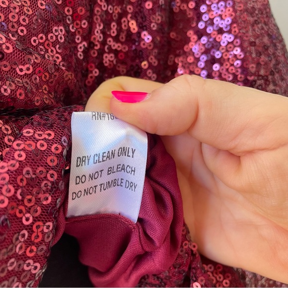 Day + Moon Cranberry  Sequin Top 
Size S - Picture 6 of 7